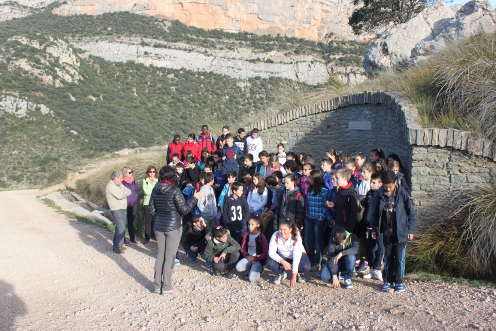 Excursió a Vilanova de Meià 2015